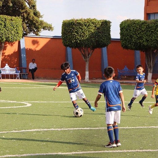 filial3